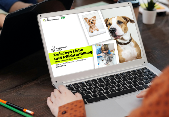 Rudelreport 2026/1:  Fell- und Körperpflege bei Hunden