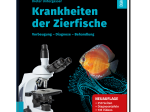 Krankheiten der Zierfische