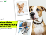 Rudelreport 2026/1:  Fell- und Körperpflege bei Hunden
