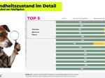 Rudelreport 2025/3: Hundegesundheit und Ernährung
