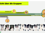 Rudelreport 2025/2: Tierkrankenversicherung