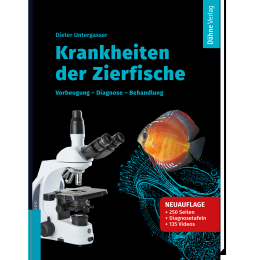 Krankheiten der Zierfische