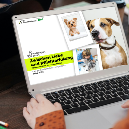 Rudelreport 2026/1:  Fell- und Körperpflege bei Hunden